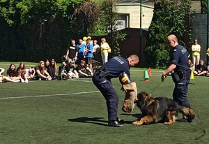pokaz policjantów z psem służbowym