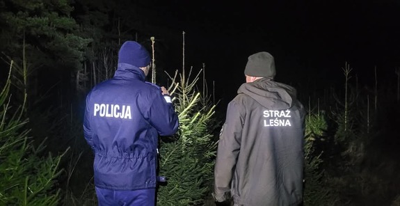 Policjanci i strażnicy leśni kontrolują lasy pod kątem kradzieży choinek